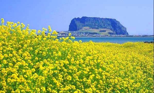 Getting To Know Some Of The Best Jeju Island South Korea Tourist